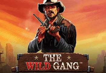 The Wild Gang